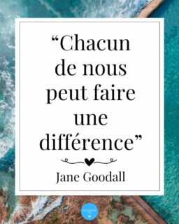 La citation de la semaine 🪙

#recoudreca #stopvog #féministe #feminisme #autricefrancaise #autrice #maternite #maternité #femmeenceinte #sagefemme #médecine #accouchement #hôpital #vss #cesarienne #droitdesfemmes #moncorpsmonchoix #perinee #noustoutes #cesarienne #stopviolencesfaitesauxfemmes #famille #justice #soutien #santémentale #santédesfemmes #LibérationDeLaParole #VoixDesFemmes #sororité 
#citation